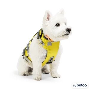Petco Yellow Dog flotation device